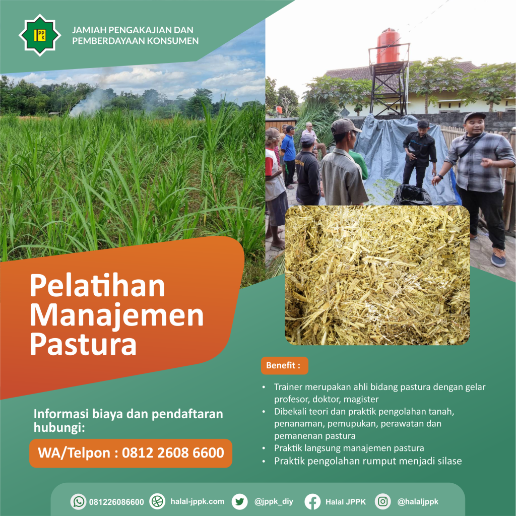 Pelatihan manajemen pastura