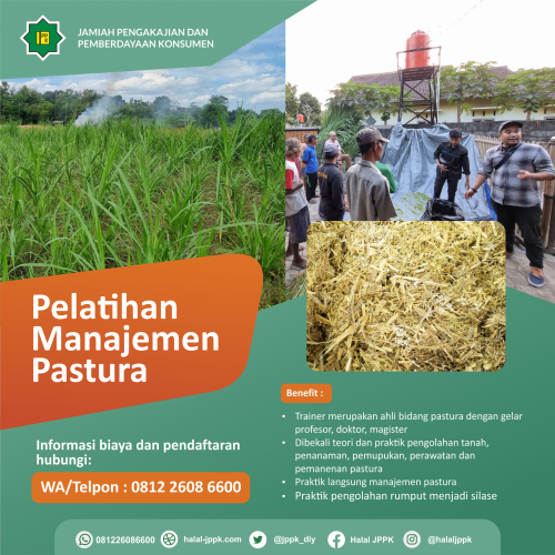 Pelatihan manajemen pastura